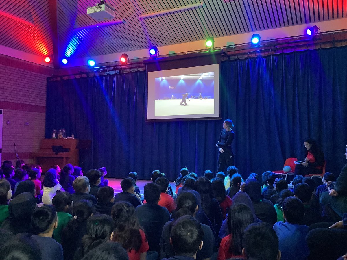 Halley Year 4 tweet media