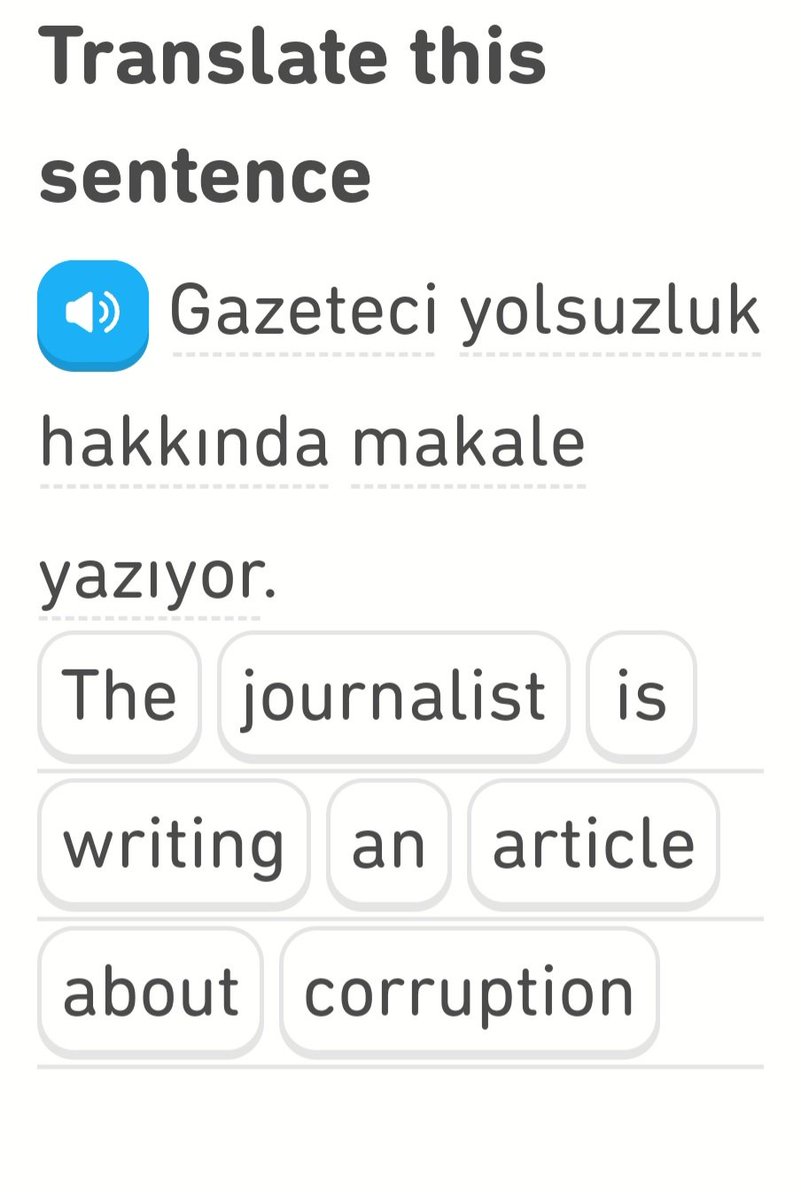 Pointless phrases to learn on @duolingo both in Turkish and English. You're not allowed to criticise the government.