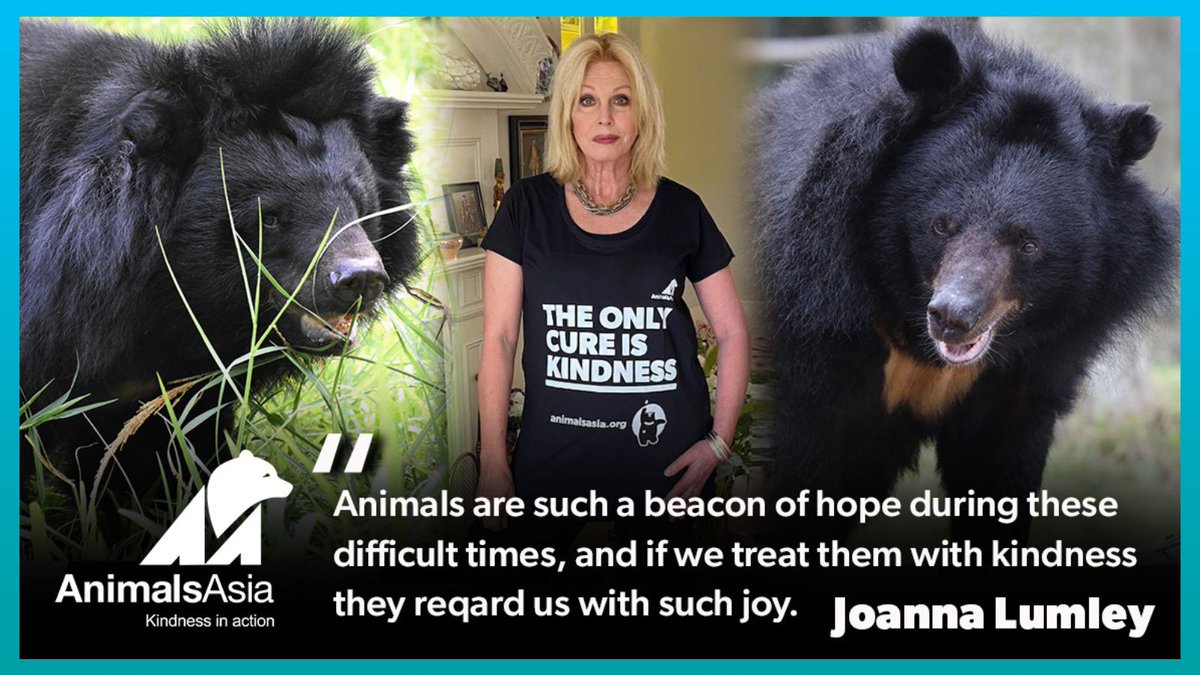 🎉 Happy Birthday Dame Joanna Lumley! Today, we celebrate not just an incredible actress and activist, but a true friend of animals. Here’s to another year of inspiration and kindness! 🥳 @JoannaLumleyUK #happybirthday #kindnessinaction