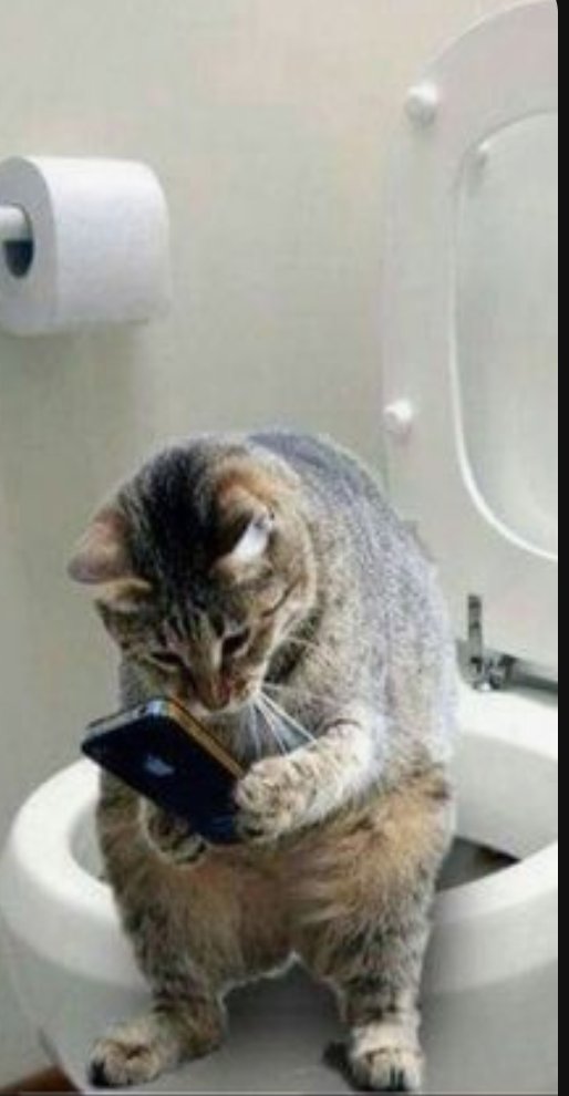 Good morning 🌞. Nothing like waking up all sleepy-eyed heading to the bathroom just to find my cat sitting on the toilet 😂 lol j/k 😂 Have a blessed Wednesday 🙏🏻🕊️🤍🕯️💜✝️