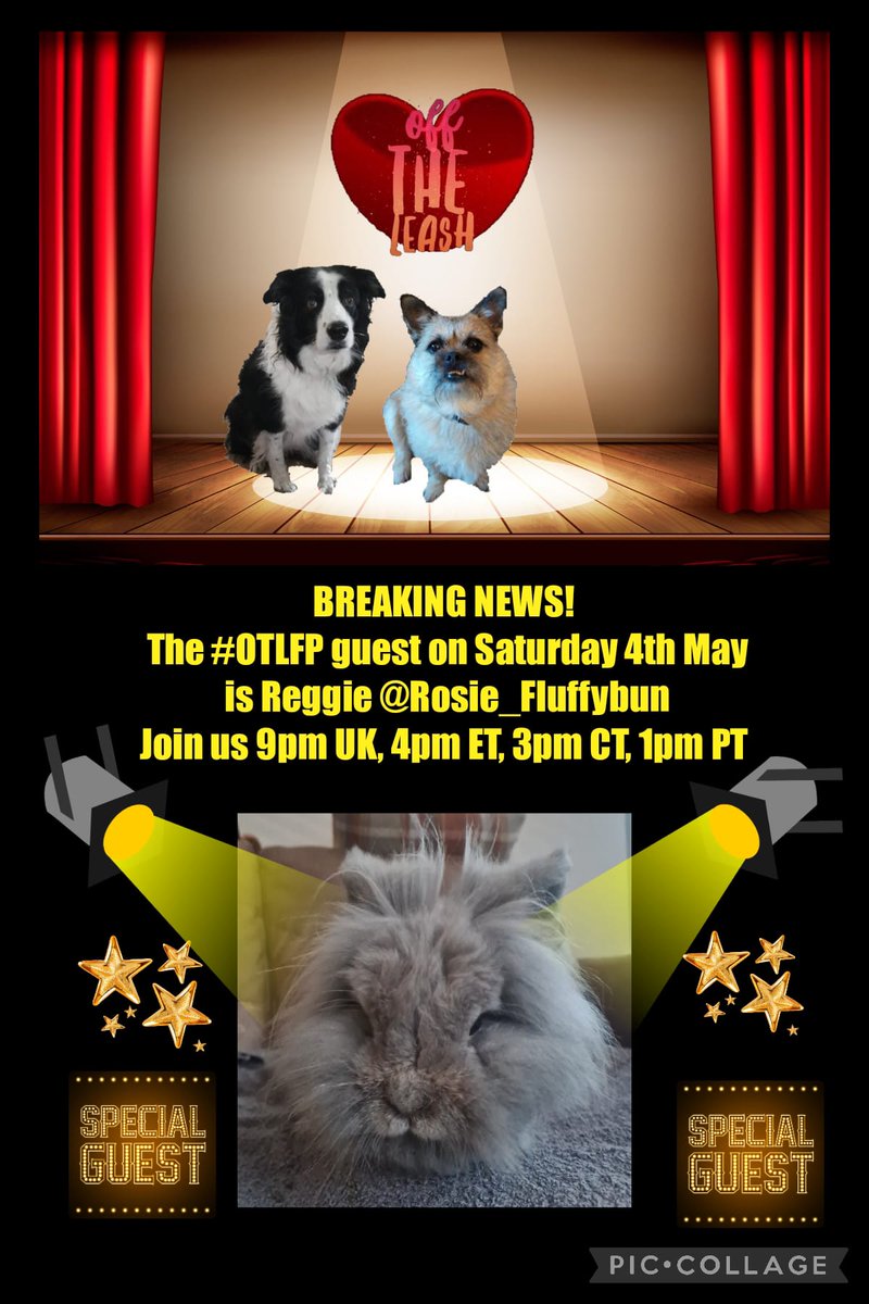 Join us Saturday 4pm ET 3pm CT 2pm MT 1pm PT UK 9pm Search & follow #OTLFP to join in all the fun! All are welcome! 😀 @snowby21 @good_pbgv @trotterpossum @sassytheminpin @msdixiediva8253 @travelmonk2 @jackiewhitting5 @margaretaugrad @alansla90124663 @inokumaT @tikamary1