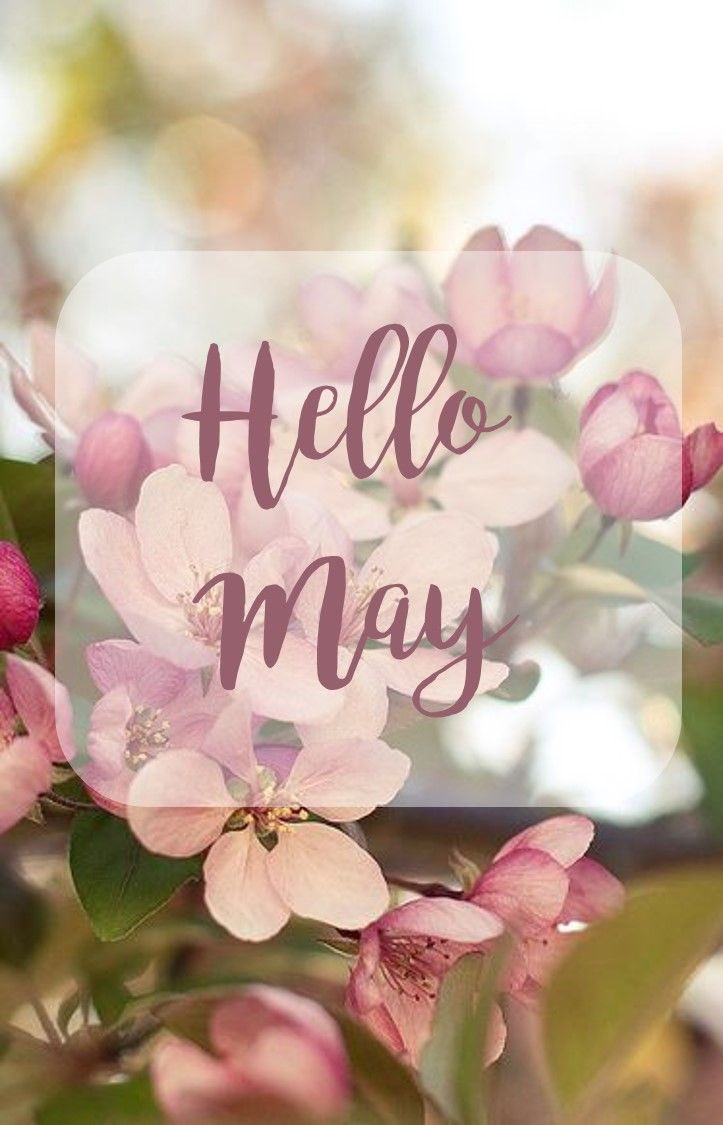 Happy May! ☀️🌸🎶💎#May #NewMonth #LoveAndLight #LoveAndBlessings✨💎🕊️💚🌸💎