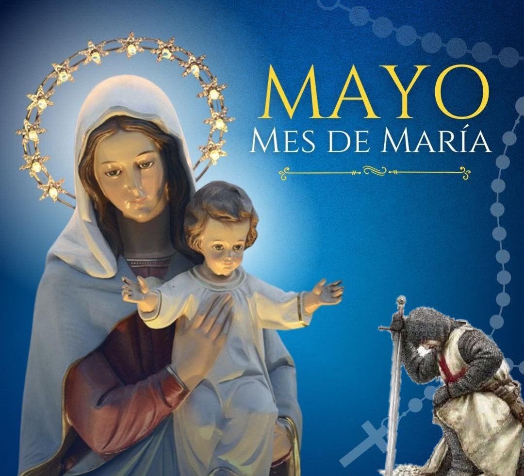 🌷 (Día 1)  MAYO, MES DE MARÍA: María es nuestra mejor compañera de viajes y aliada en la fe hacia el amor de Dios 👉🏻 pildorasdefe.net/aprender/fe/Ma… .