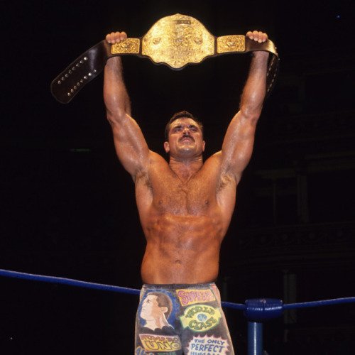 On this day in 1994, 'Ravishing'Rick Rude won the WCW International World Heavyweight Championship for the 3rd and final time #WCW #InternationalTitle