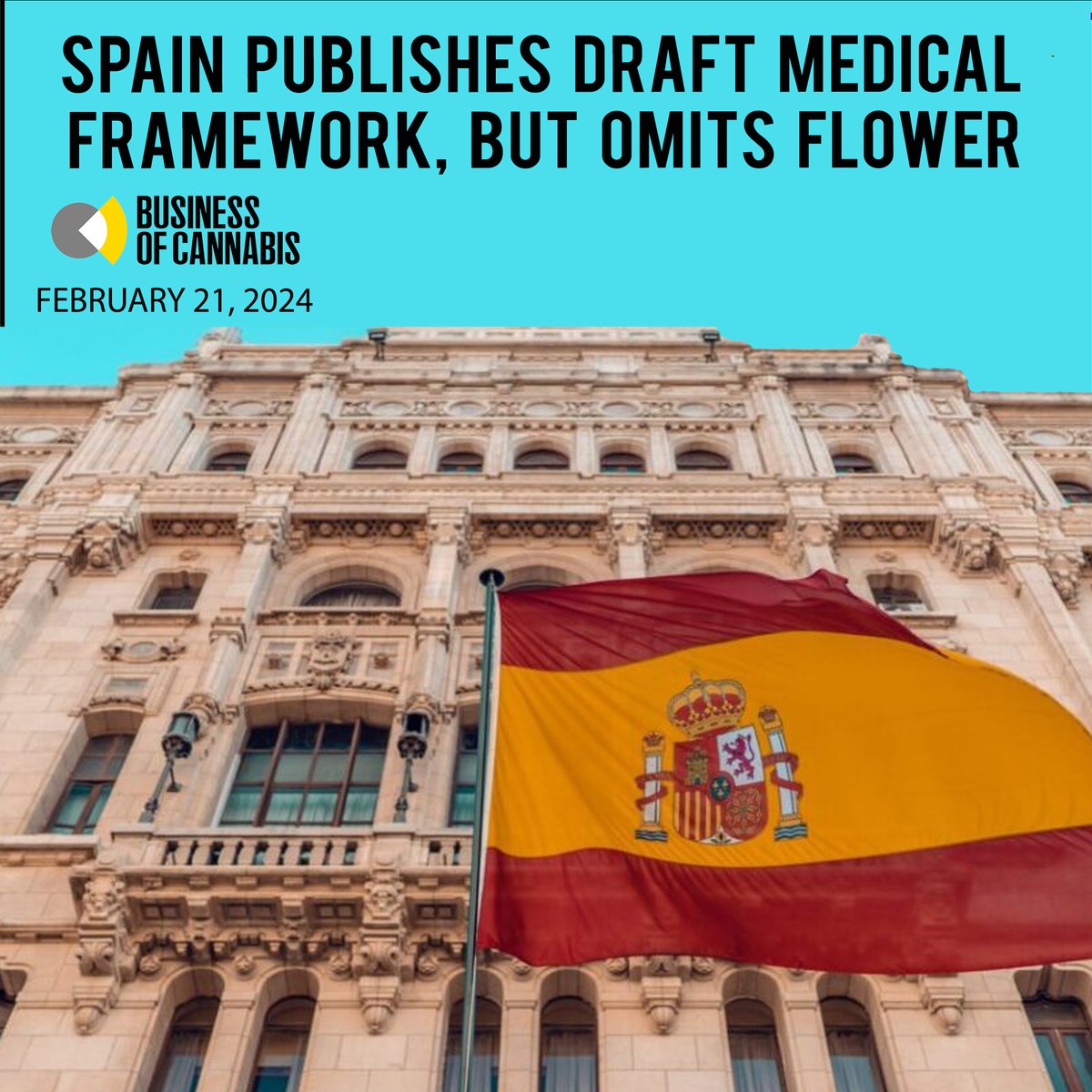 NEWS You Might Have Missed
@spain_cannabis 
@pirate_spainweed 
@canna.spain 
@cannakings 
#spain #spain🇪🇸 #spainlife #mmj #mmjcommunity #education #spain❤️ #change #GlobalCommunity