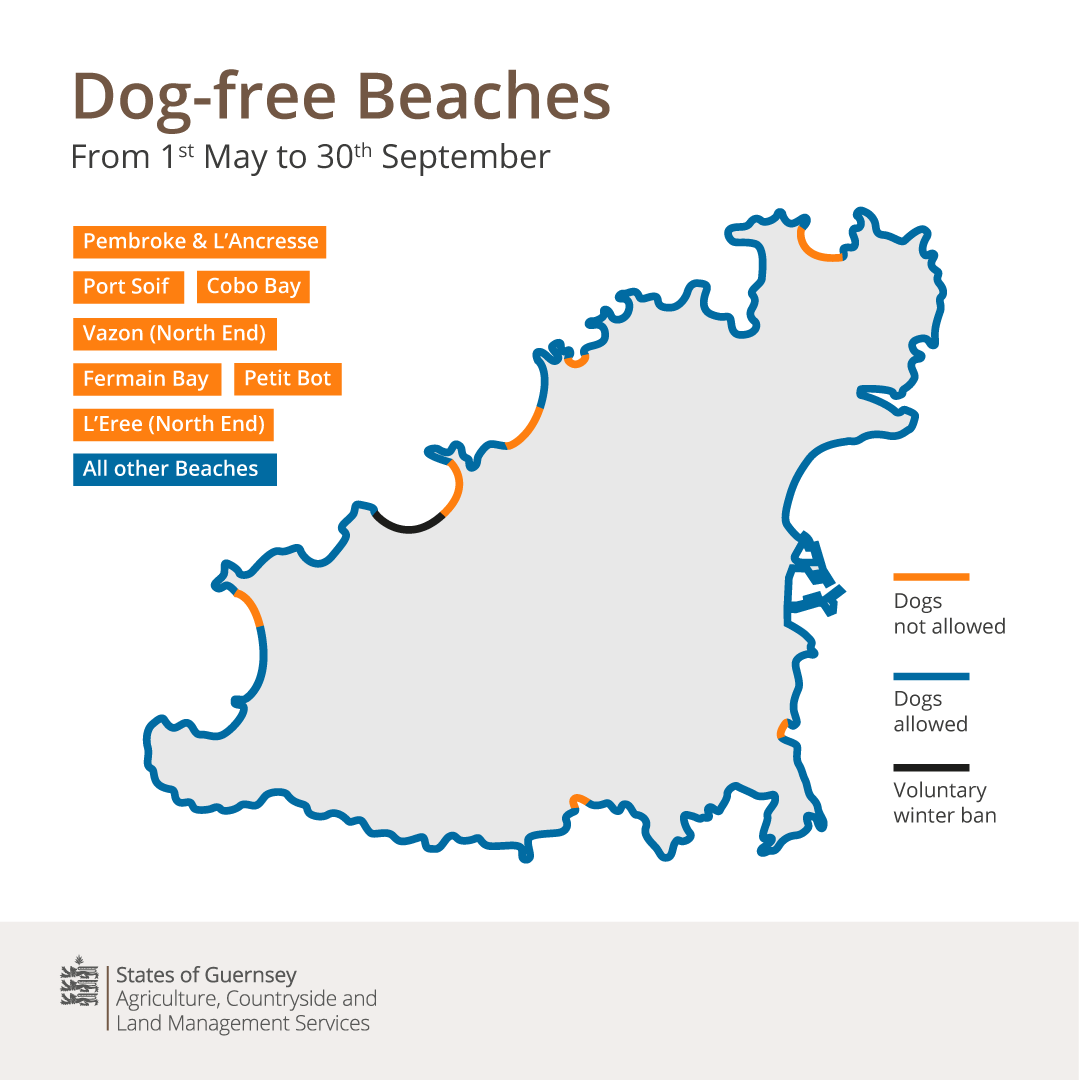 From today, 7 beaches in Guernsey are dog-free until 30th September. Dogs are still welcome at the Island’s other beaches, excluding Lihou Island. Please make sure your dog is always under control in public places and to pick up after them. More details: gov.gg/dogsonbeaches