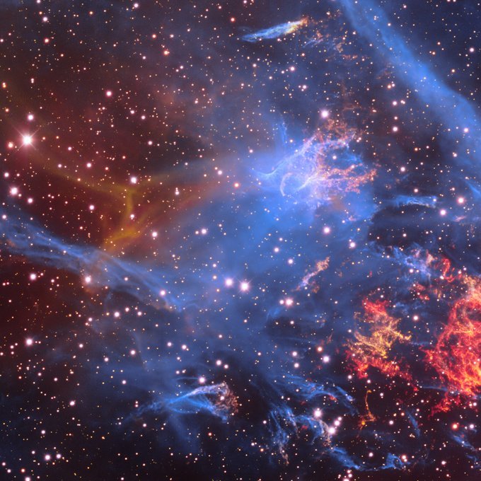 Stunning: Puppis A, a supernova remnant about 100 light-years in diameter and roughly 6500–7000 light-years away. (Credit: CTIO/NOIRLab/DOE/NSF/AURA - Image Processing: T.A. Rector, M. Zamani & D. de Martin)