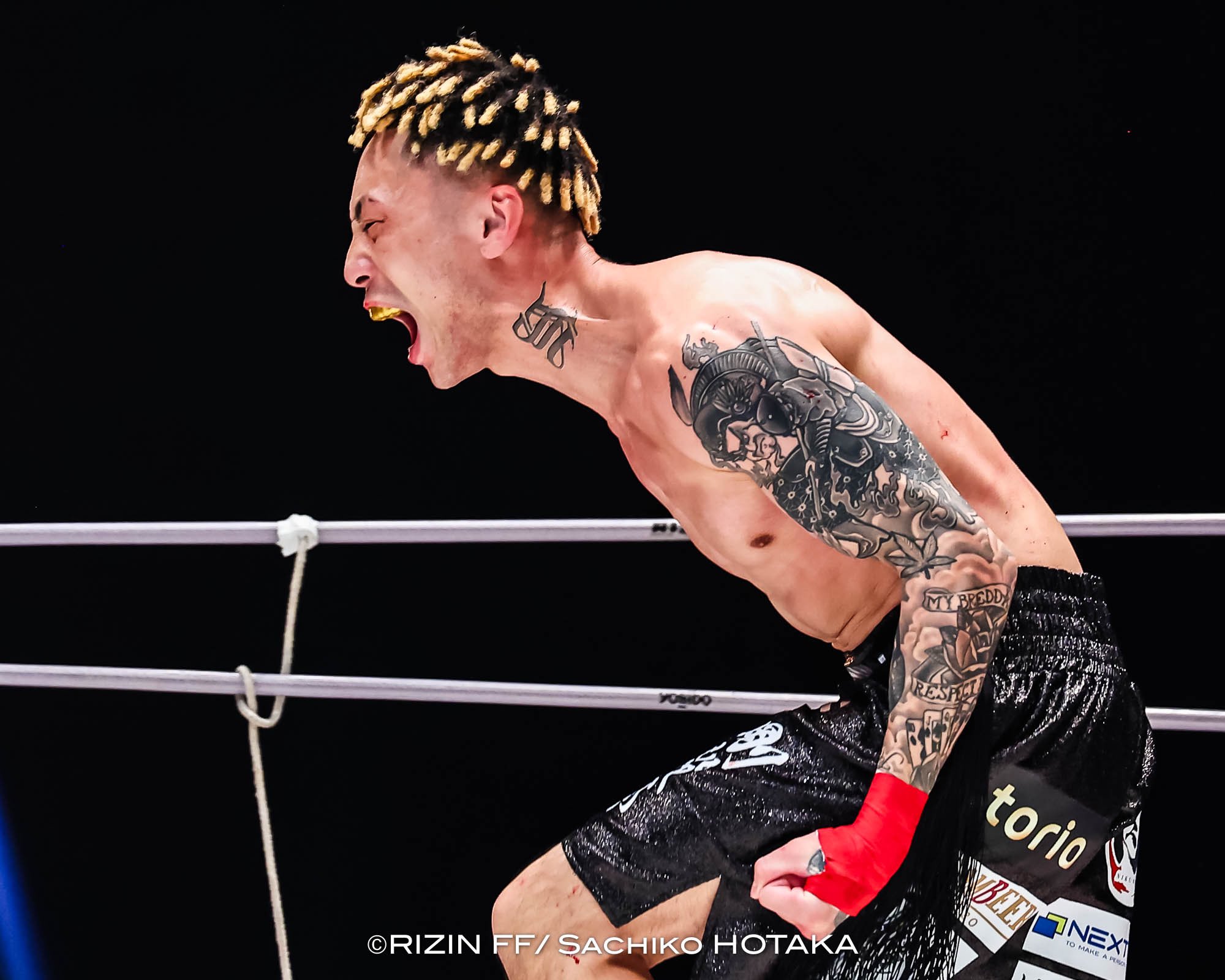 Amazon.co.jp: RIZIN カード 篠塚辰樹 : おもちゃ