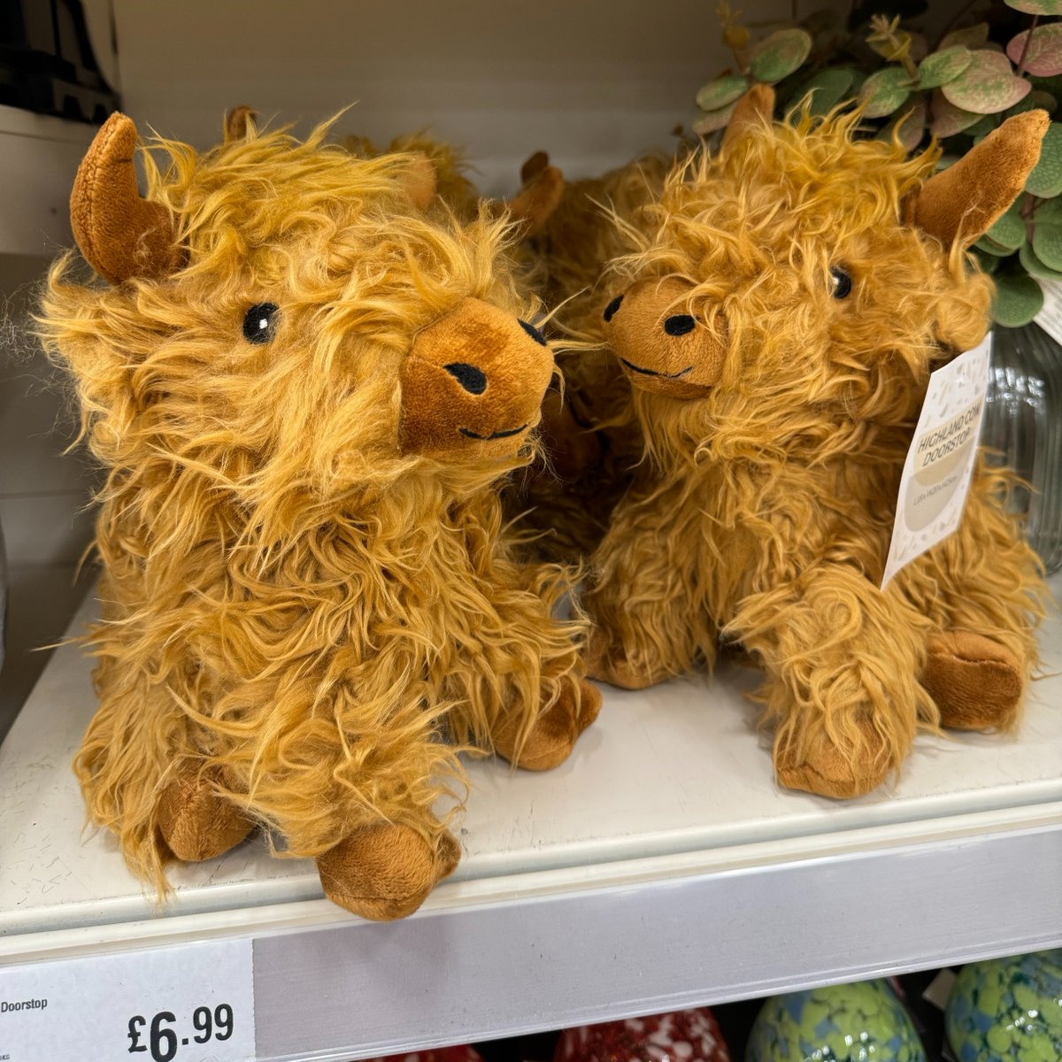 Holy COW, look at these 😍😆 🧡 Our Highland Cow Doorstops have just landed in-stores & are only £6.99 each! 🛒 RUN, do not walk! bit.ly/42QaGoo