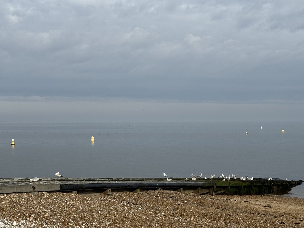 So Still this morning in #Whitstable , magical.