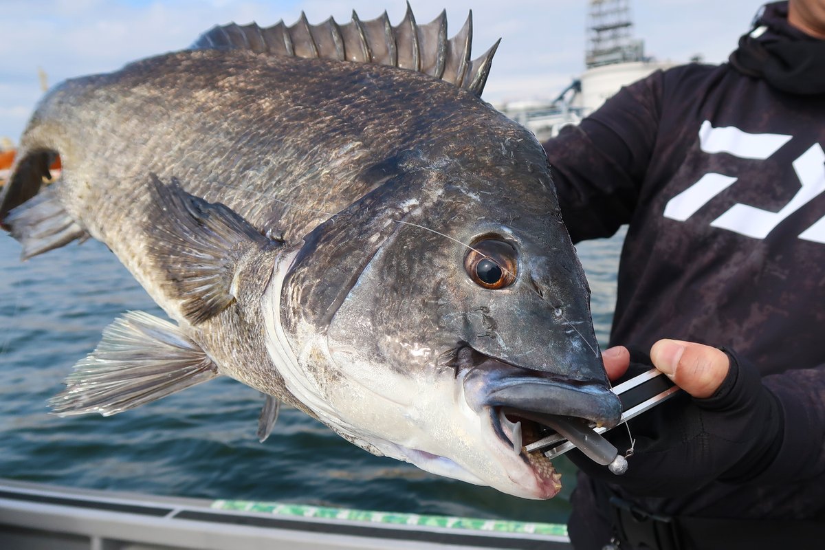 【もりぞー】 もりぞー on X