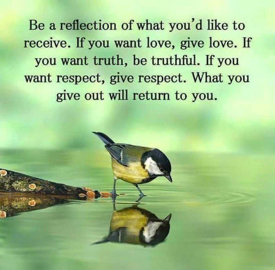 Let’s be a reflection of what we’d like to receive…
helping to make the world a better place, in the process!

#stepintherightdirection #love #truth #respect #gratitude