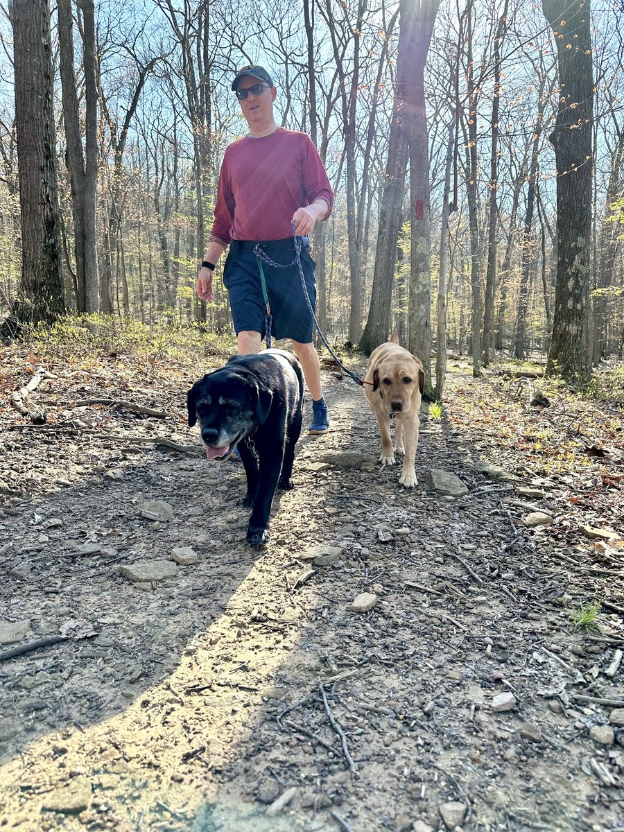 #Spring2024 #FitTip from #FitLabPGH (link below): it’s ok to forget about #Strava achievements & social media likes and “just” move! Enjoy your movement session!

#GetOutside #JustMove #MoveWithDogs #MoveMore #KeepMoving 

tinyurl.com/FLP-JustMove