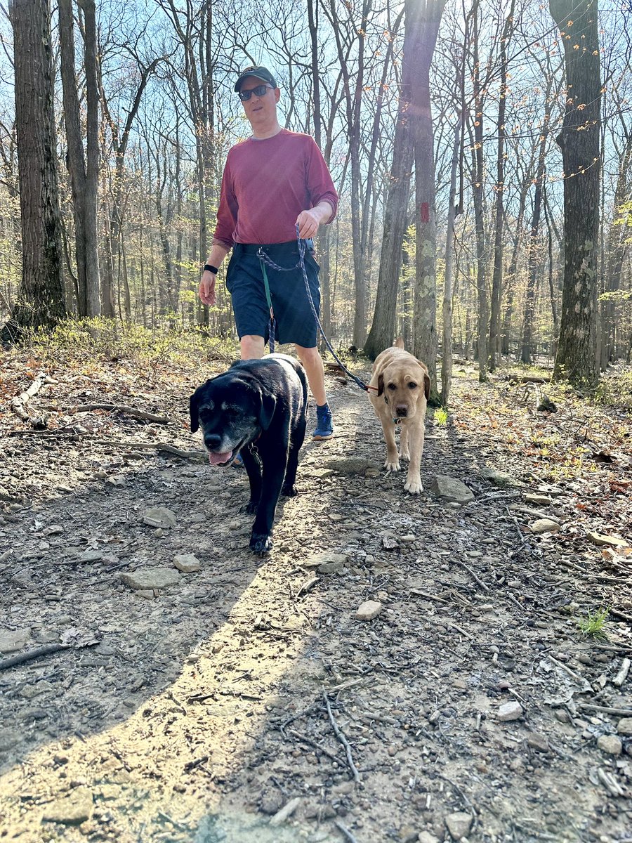 FitLabDeepCreek's tweet photo. #Spring2024 #FitTip from #FitLabPGH (link below): it’s ok to forget about #Strava achievements &amp; social media likes and “just” move! Enjoy your movement session!

#GetOutside #JustMove #MoveWithDogs #MoveMore #KeepMoving 

https://t.co/fRM2Y5VpZr https://t.co/RFY5KLiGhS