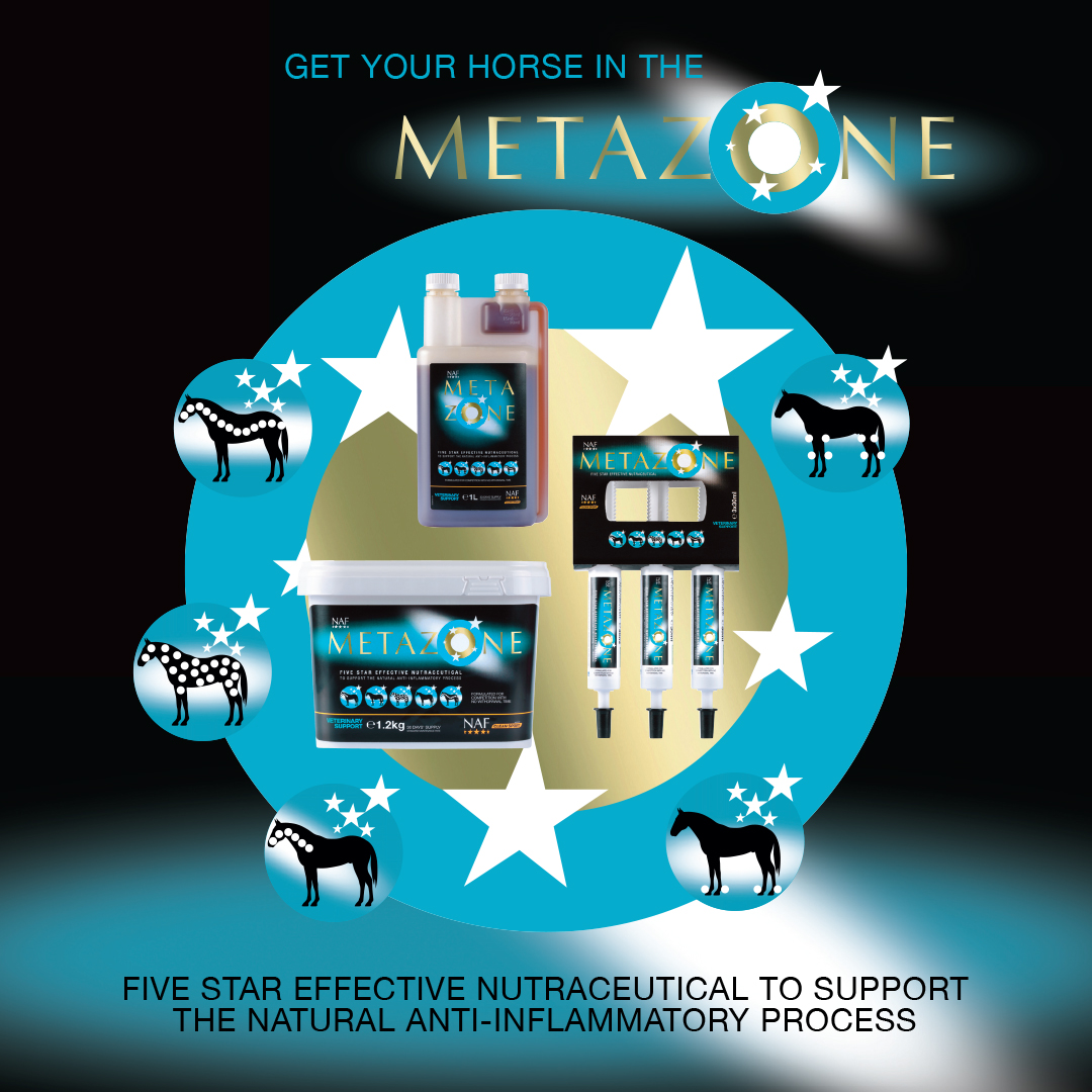 Get your horse in the zone with NAF Five Star Metazone, our Five Star effective nutraceutical to support the natural anti-inflammatory process. Have you tried it yet?