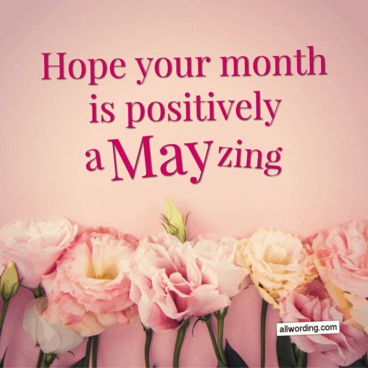 Welcome May ... #may #newopportunities #fyp #merrymonthofmay #chapter5