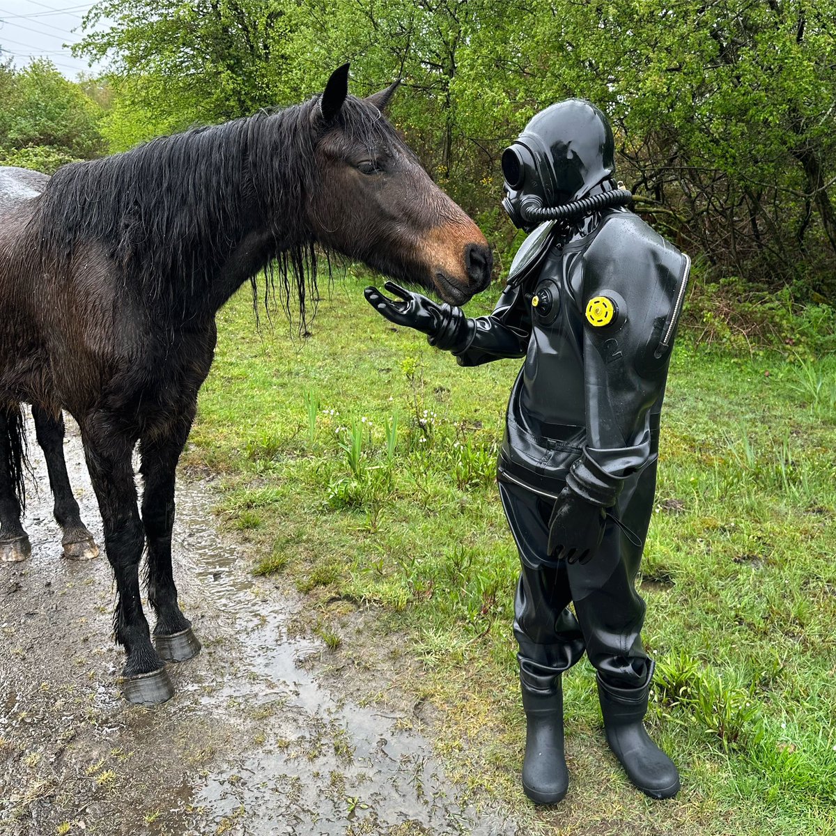 Even horses feel safer with a drone than evil humans…
🐎🤖🌧️

#rubber #latex #rubberboy #rubberfetish #rubberdrone #rubbermen #rubberman #rubbergear #gayrubber #gaybondage #gasmask #gaylatex #heavyrubberslave #rubberslave #heavyrubber #heavyrubberboy