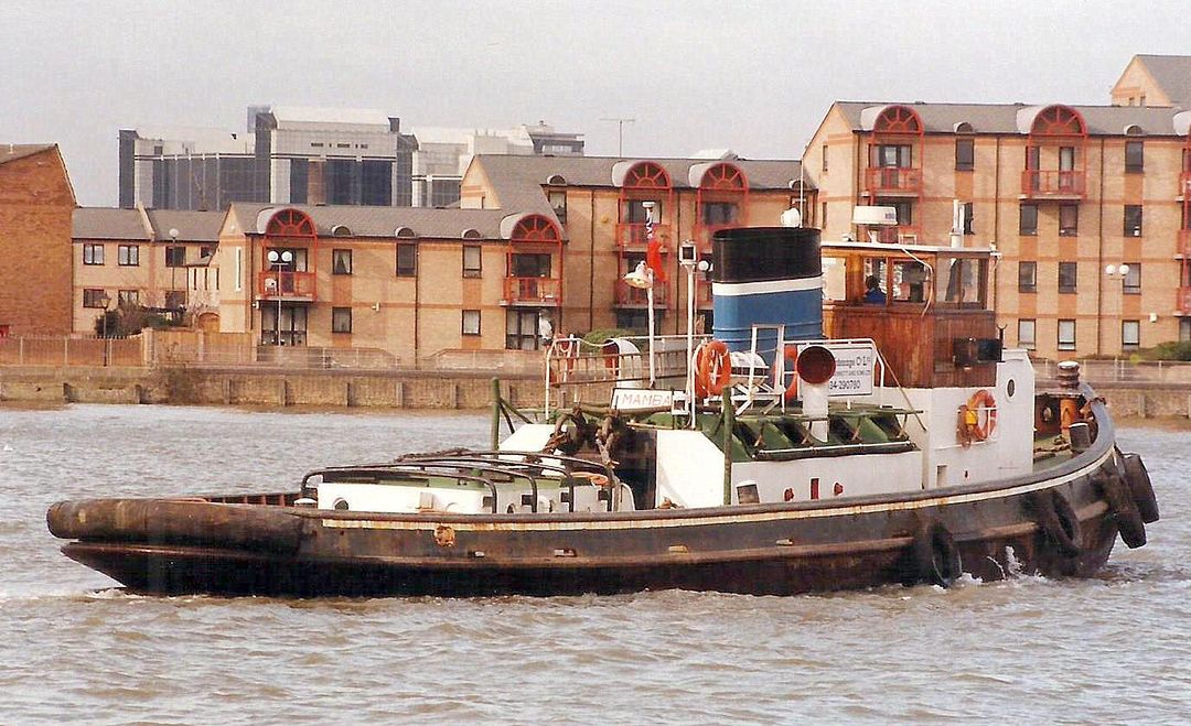 Bennetts MAMBA in 1996

Photo by Andrew Bridges