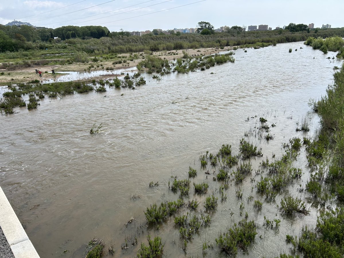 Ser de Blanes també és emocionar-te quan veus baixar alegre la nostra Tordera.