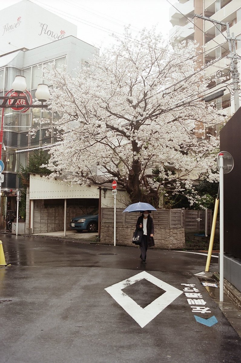 神奈川県藤沢市南藤沢
#photography
#filmphotography
#写真撮ってる人と繋がりたい
#写真好きな人と繋がりたい
Nikon F3   ULTRON40mmF2   Kodak Ektar100