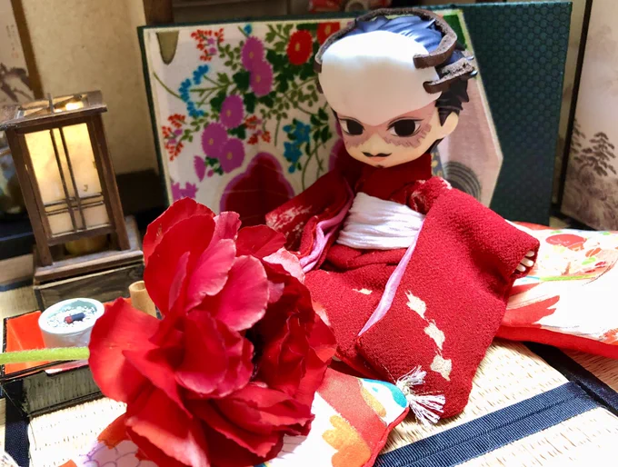 ケシの花とつるちゅの相性 芍薬も咲きました