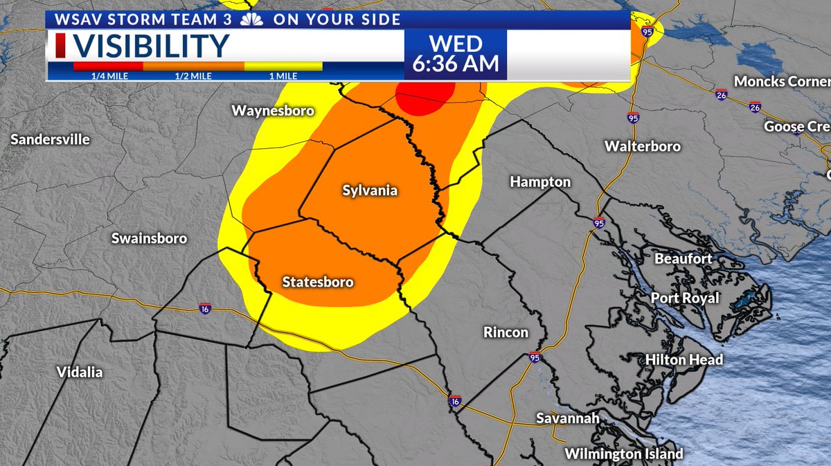 HEADS UP COMMUTERS 😶‍🌫️

Dense fog is setting up north of I-16, dropping visibility to a 1/2 mile or less. Be careful on the roads, give yourself some extra time and space between you and the car in front of you.