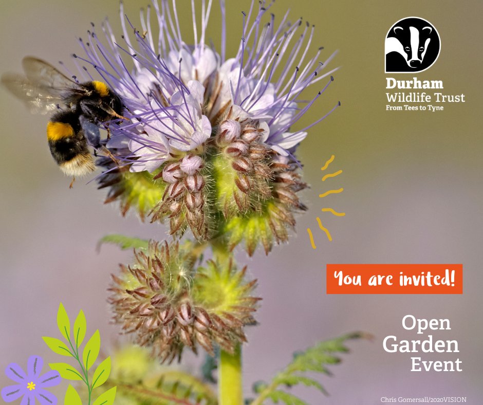 Come along to our open garden fundraising event on Saturday the 1st June 🌻 Join us for teas, coffees, cake and plant sales - along with two not-to-be-missed wildlife talks! 🦋 Sign up today or find out more at durhamwt.com/events/2024-06…