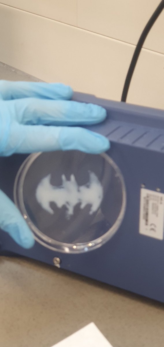 batman chitosan no es real no puede hacerte daño
batman chitosan: