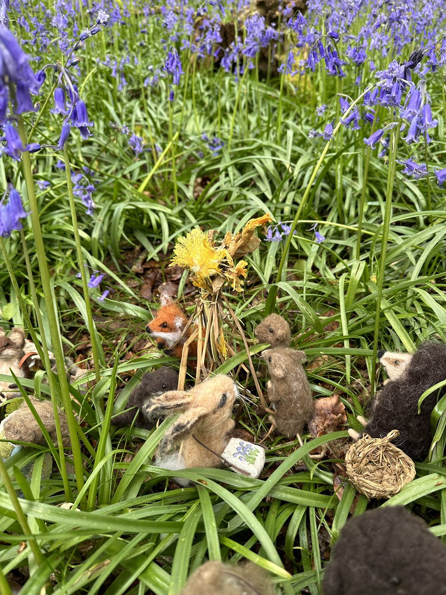 I found a little May Pole celebration in the woods today I know it’s weasel day but I couldn’t say Up the May and celebrate Beltane and May Day. Half way to summer!