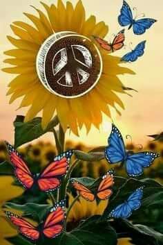 Good Morning Friends. Happy May Day ☮️✌️☮️✌️☮️