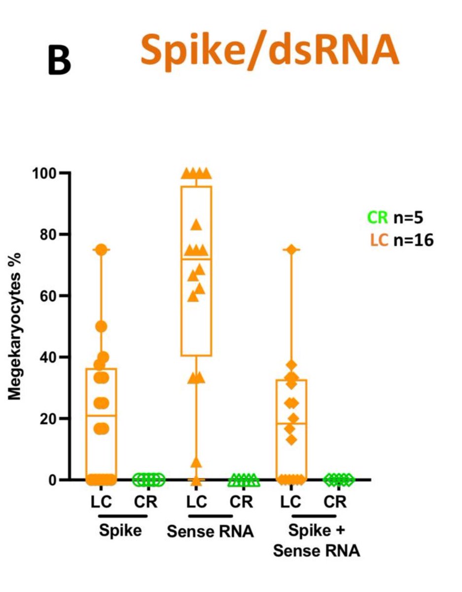 It seems like the presence of SARS-CoV-2 Spike protein and dsRNA in megakaryocytes (cells in the bone marrow that produce platelets) is very specific to #LongCovid and doesn’t occur in COVID-19 recovered controls (CR)!