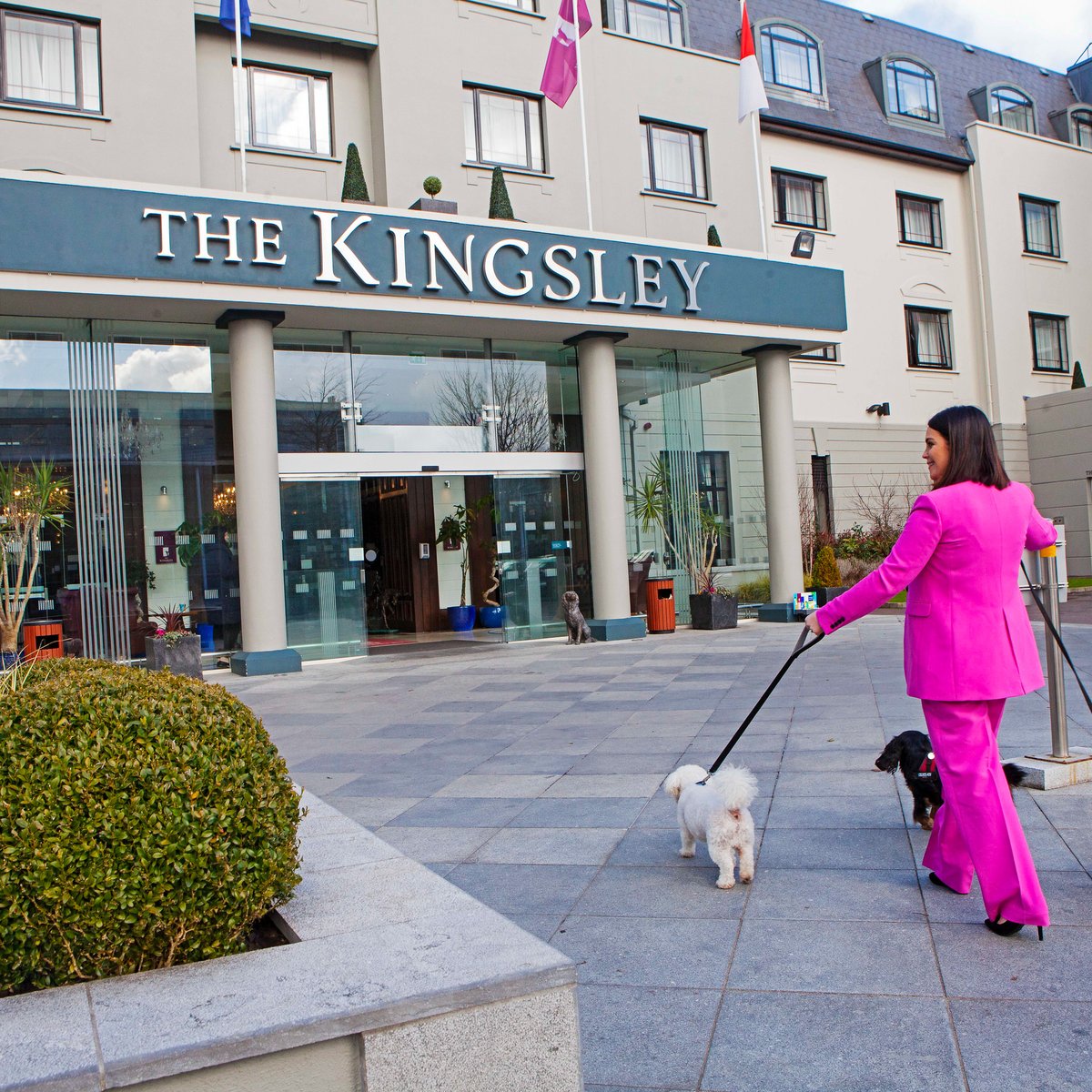 🐶 Dog Friendly Hotel 🐶 What better way to spend a Sunday than down by the river! We cater for your furry best friend and even offer overnight canine packages catered to spoil your dog! For more bit.ly/3wyx1cm #thekingsley #urbanretreat #dogfriendlyhotel