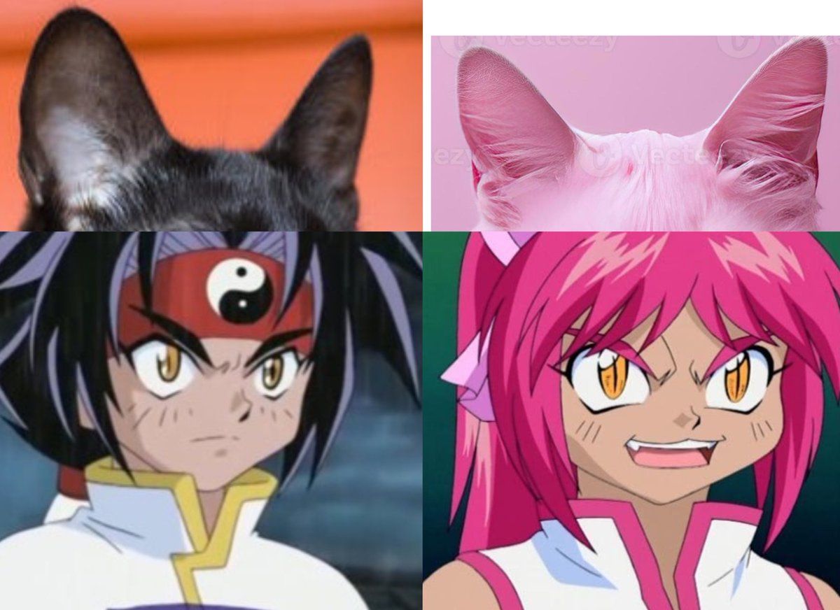 More Beyblade cats 🤣 🐈‍⬛🩷🐈