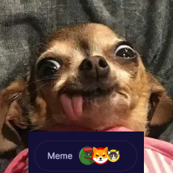 app.osmosis.zone/assets