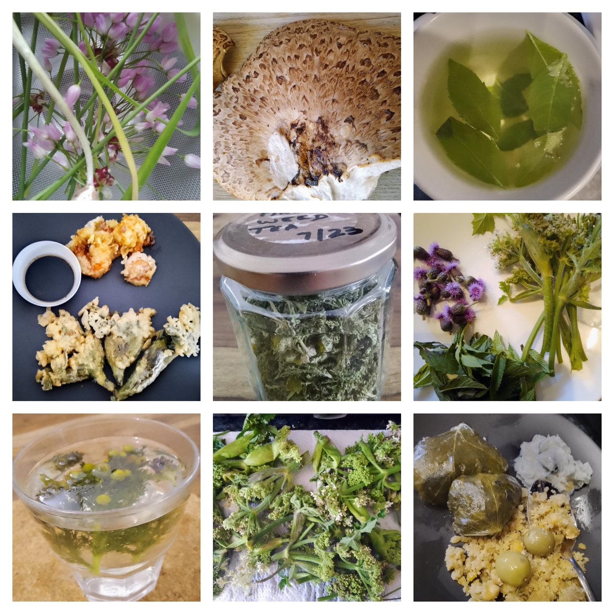 A personal and political take on foraging, or gathering wild food locally. @WolfsonCollege tomorrow. May 2, 6-7pm, The Buttery, booking not required