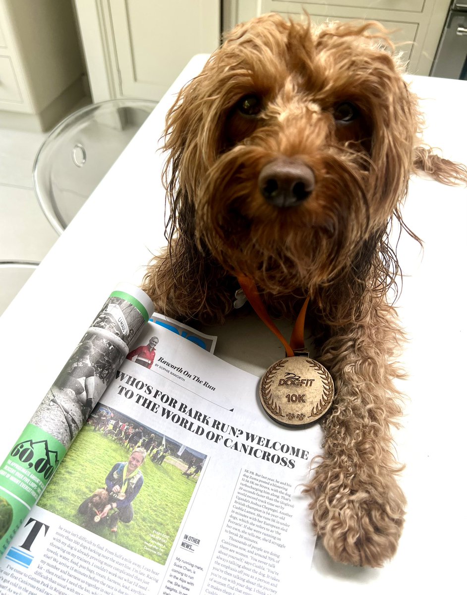 Wrote about my first Canicross race with Luna for @runnersworlduk - she’s still refusing to take her medal off @dogfituk