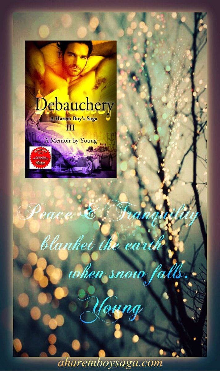 This is the time of year to read A Harem Boy's Saga - III - DEBAUCHERY; a memoir by Young getBook.at/DEBAUCHERY This is the 3rd book to a sensually captivating memoir about a young man coming of age in a secret society & a male harem. #AuthorUproar #BookBoost