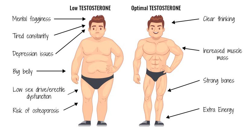 There’s a war on testosterone and modern men are losing.

Here’s the story and 10 ways to fight back by naturally boosting your levels: