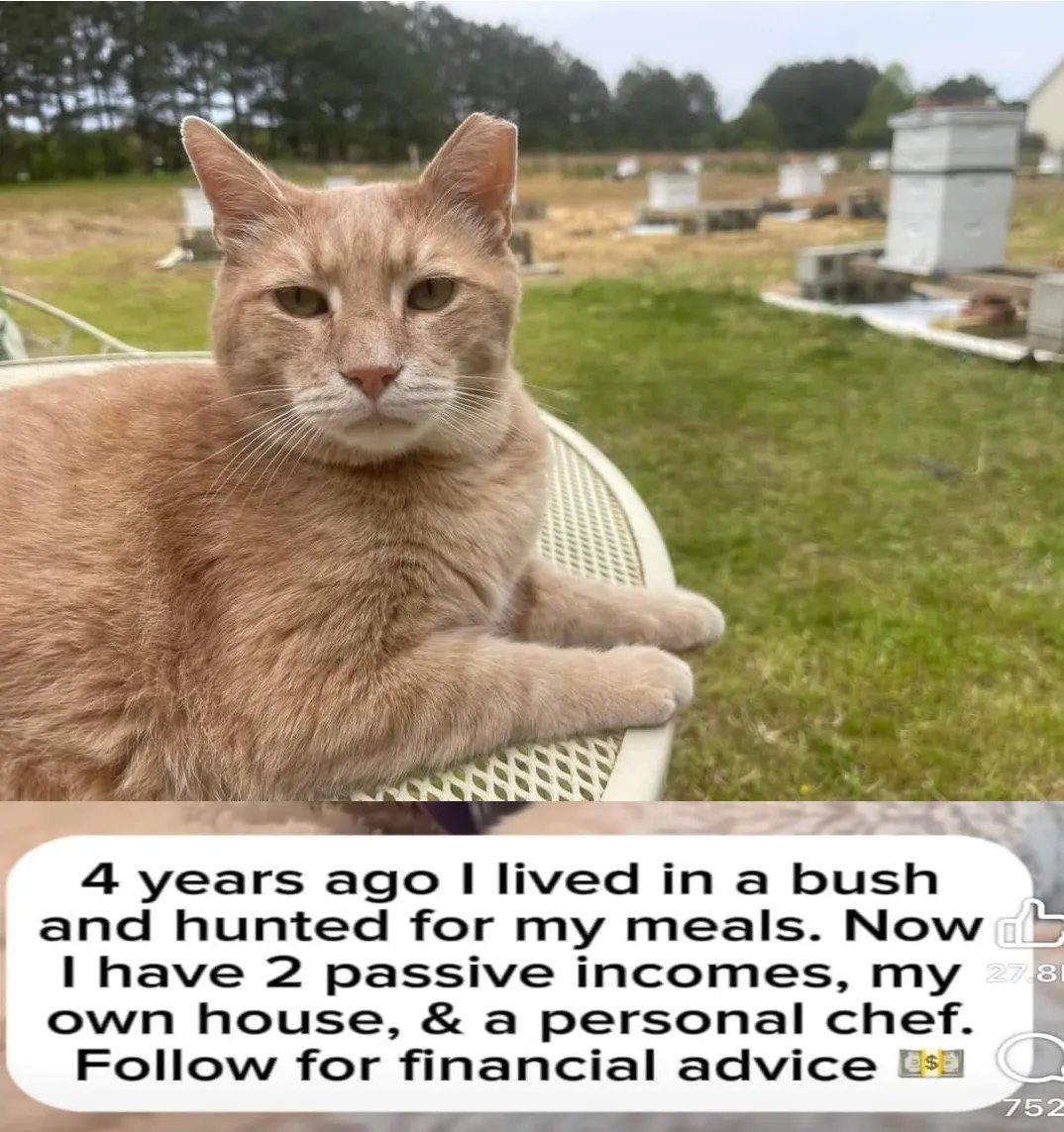 work your plan.

chase your dreams.

#FinCat

<a href="/Kevin_McKernan/">Kevin McKernan</a> 
<a href="/JesslovesMJK/">Jessica Rose 🤙</a>