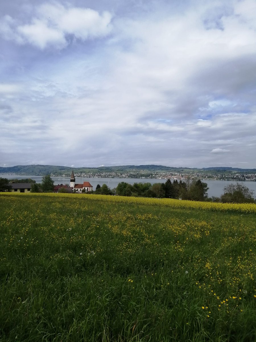 Liebe Twitter-Freunde! Ich wünsche euch einen schönen Nachmittag und einen erholsamen Ausklang des 1. Mai. Ich wurde gefragt, ob ich noch mehr Bilder vom #Bodensee habe. Nachdem es bei uns ja ziemlich hügelig und die Auswahl an geeigneten Routen für meinen täglichen Spaziergang…