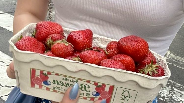 strawberry season 🍓