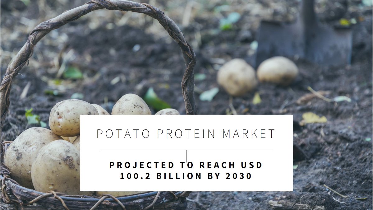 fcablog24's tweet photo. Potato Protein Market Increasing Demand for Plant-Based Proteins in Food and Beverage Industry

Potato Protein Market Overview
Potato Protein Market is Anticipated to Reach USD 100.2 billion by 2030, with a 4.88% CAGR by 2022–2030.

Read More @ https://t.co/TQrNvpcngL https://t.co/ft12TK1NVu