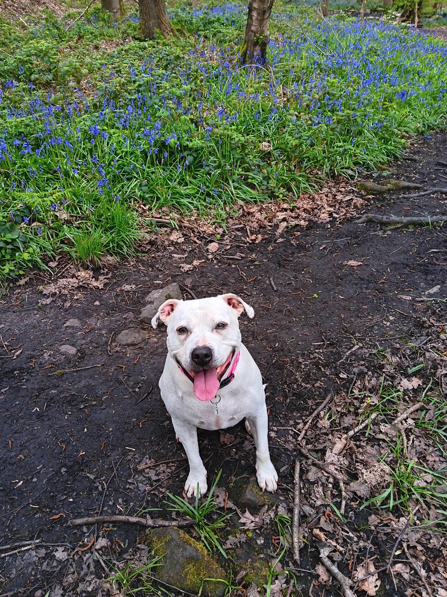 @SeniorStaffy Aw I know someone just like that 😉 Good luck Bailey! ❤️