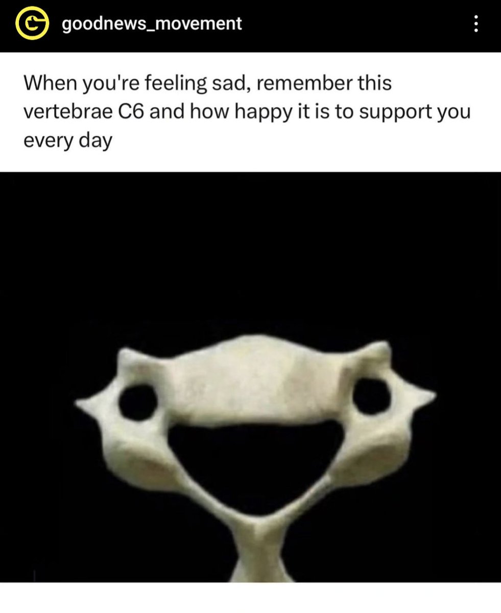 We loved this post on your #Instagram <a href="/GoodNewsMVT/">GoodNewsMovement</a> and thought it would be a great way to welcome May!

#MSK #healthybones #nhs #smskpe #vertebrae