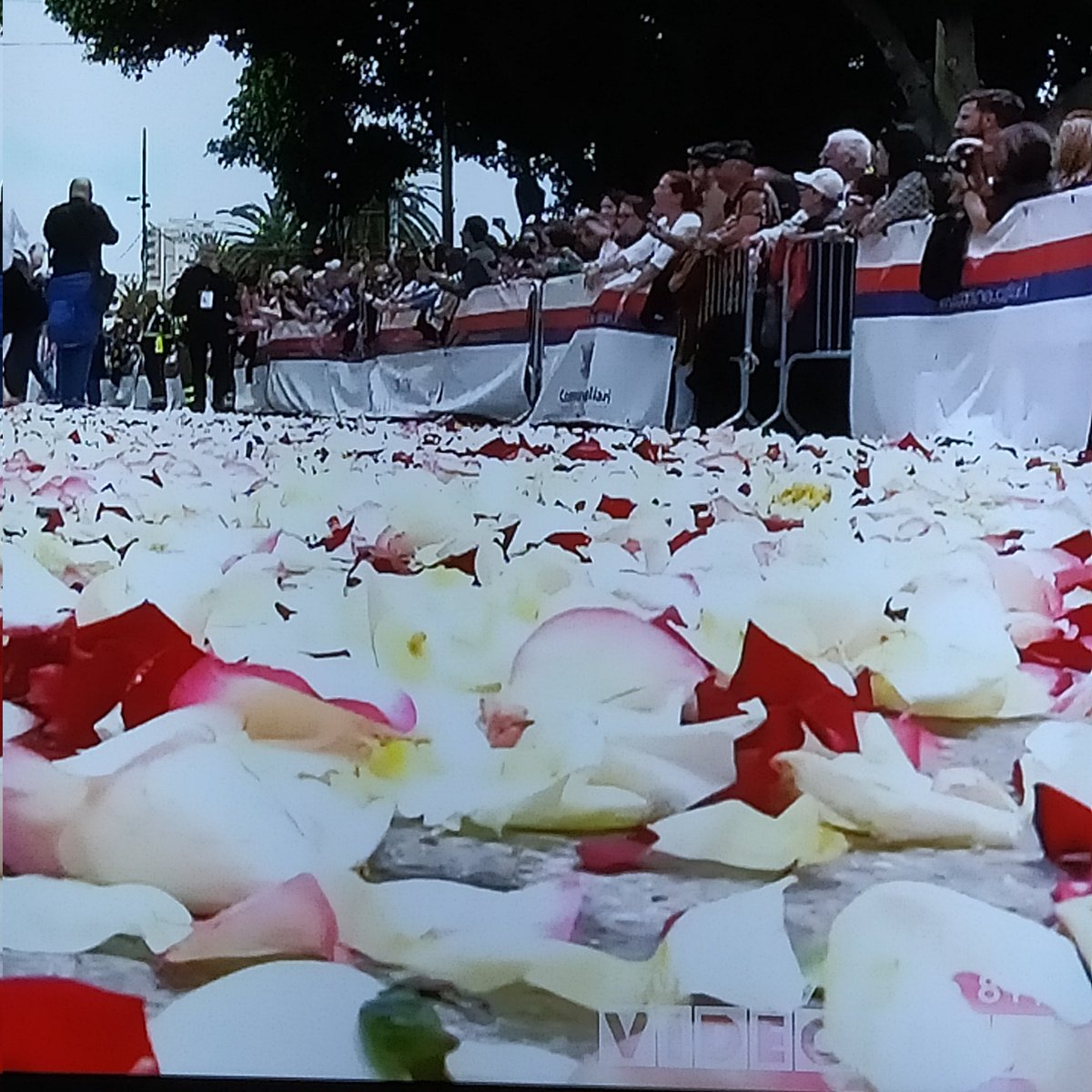 Agricolturabio1's tweet photo. Aspettando #Efisio ... 🙏
#Cagliari #1maggio
#SaRamadura #infiorata #paradiso
#Sant_Efisio https://t.co/xAALZ4wcNa