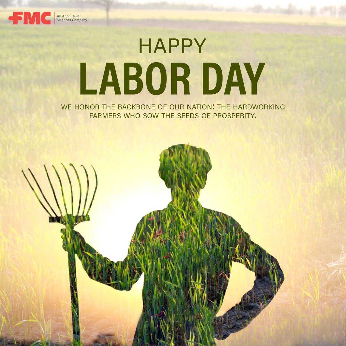 Today, we salute the tireless dedication of our farmers who work relentlessly to feed the world. Happy Labor Day to those who cultivate our fields and nourish our communities! 🌾🚜

#FMC #Pakistan #FarmersLaborDay #FeedingTheWorld #Gratitude