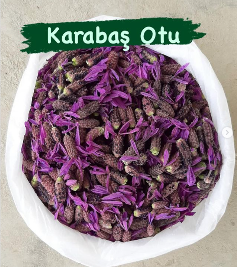 tegarut's tweet photo. KARABAŞ OTU(Lavandula Stoechas) bitkisinden, aşılar, sular, gıdalar veya solunum yolları ile vücudumuza nüfuz eden GRAFEN kaynaklı KARBONTÜPLERİN(CNT/CMT) dağılmasını önleyen Miyeloperoksidaz enzimi aktivitesinin azalmasına ve Kan-Beyin Bariyerini zayıflatarak beyne daha çok GRAFEN bulaşmasına sebep olduğu için UZAK DURULMALI.

"L. stoechas özleri, sitokinler ve nitrik oksit gibi farklı inflamasyon aracılarını aşağı doğru düzenleyen in vitro immünomodülatör özellikler sergiledi. Ayrıca, miyeloperoksidaz aktivitesinin azalması ve toplam glutatyon içeriğinin artmasıyla kanıtlandığı gibi, kolitin TNBS modelinde anti-inflamatuar etkiler gösterdiler.."

Kaynak:
https://t.co/sab3AJOwol

*Bahsettiğim husus, sadece vücutta grafen olduğu varsayılarak izah edilmiştir.
