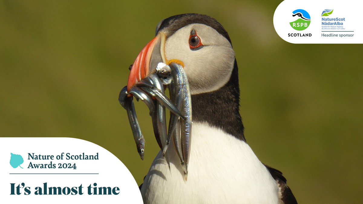 May has arrived, which means our deadline is approaching!⏰Don't worry though, you can enter the #NatureOfScotland Awards right up until the 28th. Help us recognise the outstanding achievements of those working hard to protect nature in Scotland.🌱🏆 bit.ly/NoSA2024