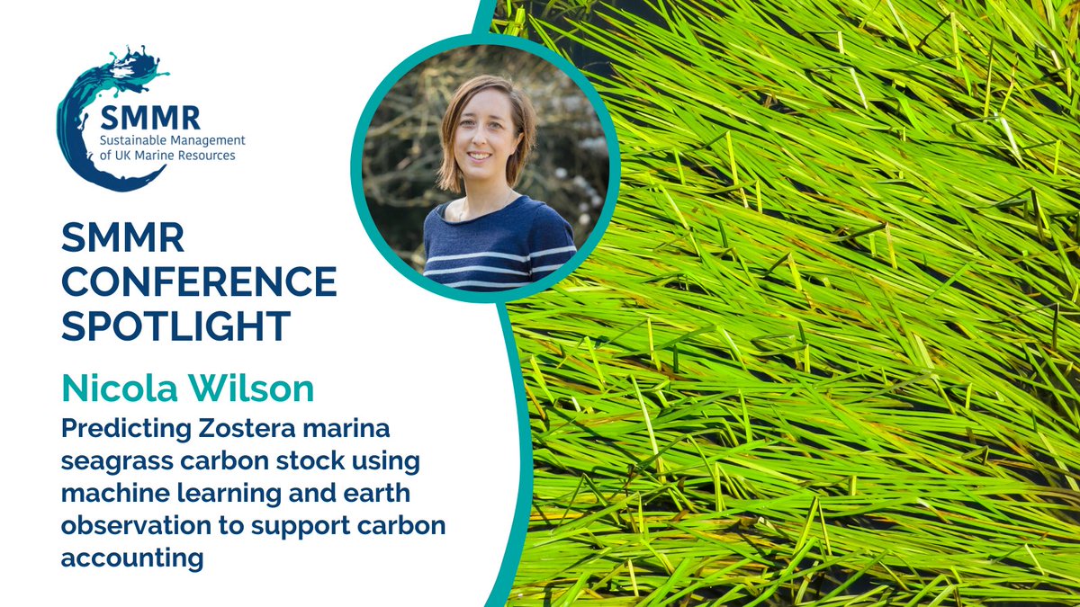 @DCampbell_econ @StirUni @AllyAllyj @SwanseaUni @CranfieldUni Nicola Wilson of @UniofExeter breaks down research from @UniExeterIDSAI @ExeterMarine that focuses on a data-driven #MachineLearning approach to predict carbon stocks in temperate #seagrass species Zostera marina, with the potential for #BlueCarbon accounting 🌊. (4/5)