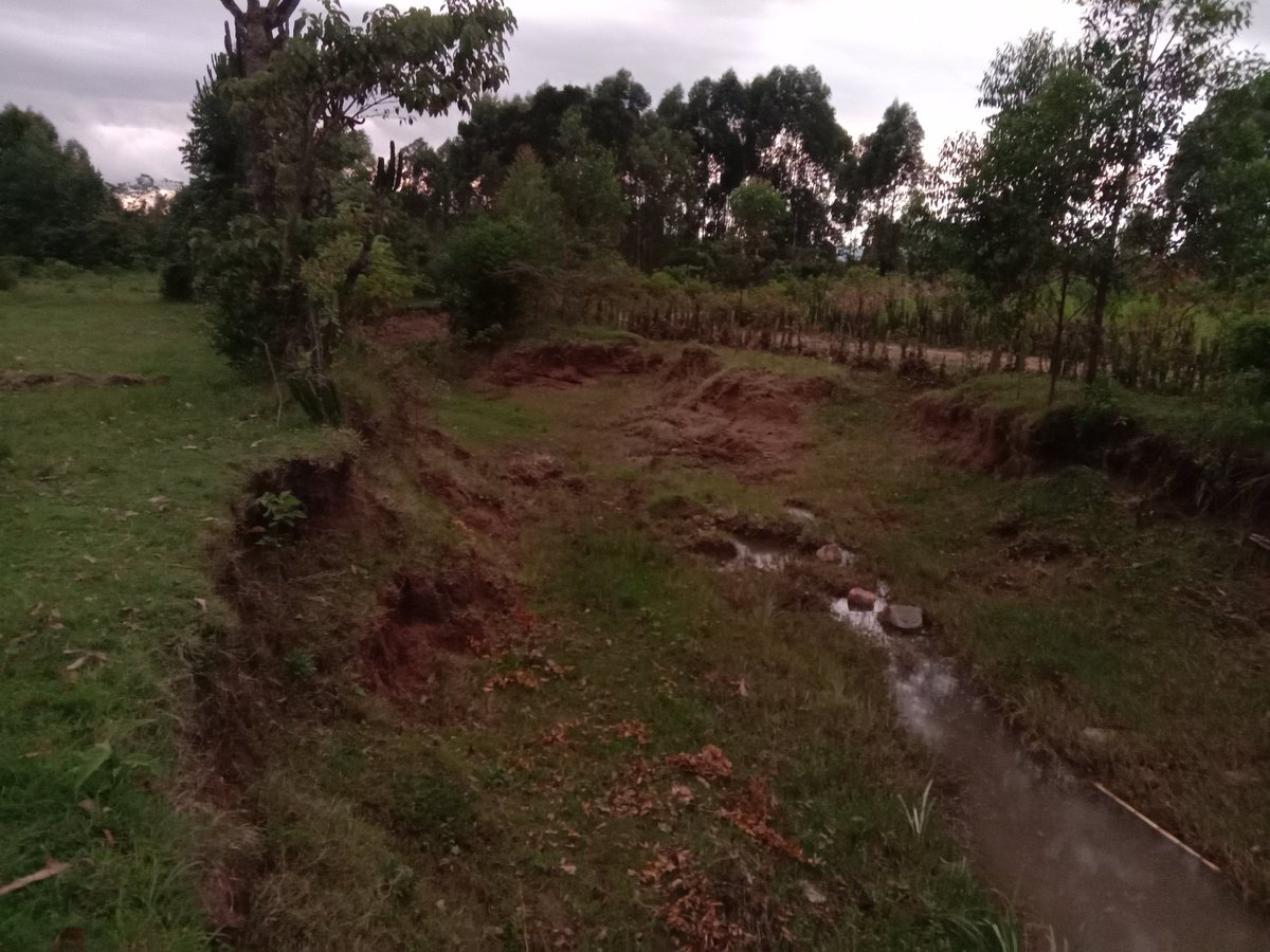 wezlngat's tweet photo. The ongoing floods is equally causing the most intensive soil erosion leading to loss of soil fertility. https://t.co/zTplSzjHNX